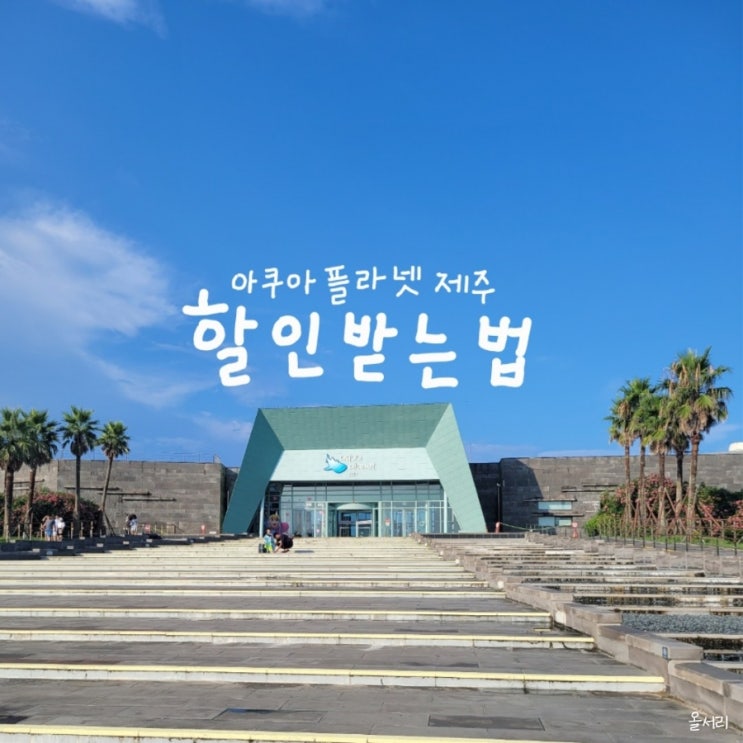  제주 여행 아쿠아플라넷 입장권 할인: 일반부터 도민 임산부 생일까지