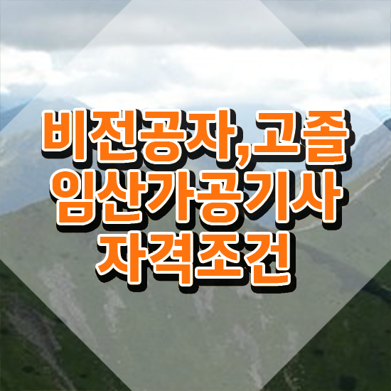  임산가공기사 자격요건 온라인으로 빠르게 준비한 후기