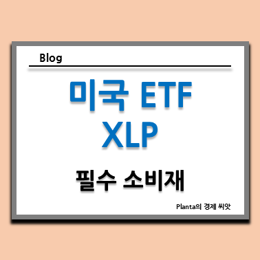  미국 필수소비재 ETF : XLP 주가 배당금 분석