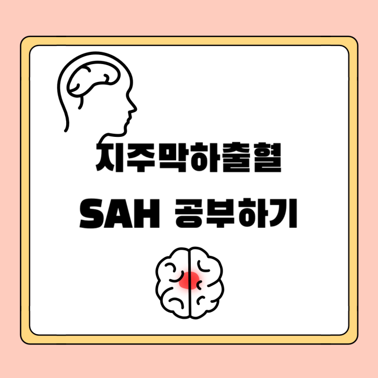  지주막하출혈(SAH) 원인, 치료, 약물, 간호
