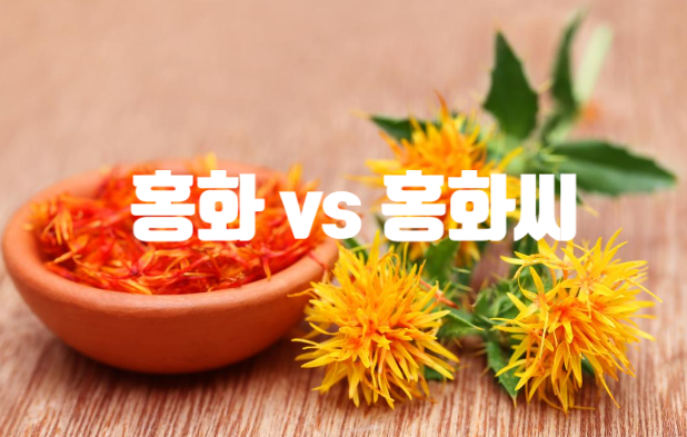  골절한약 홍화와 홍화씨(홍아씨x)에 대한 지견