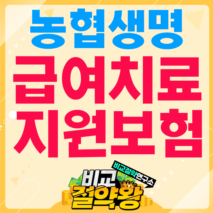  농협생명 병원비든든 NH의료비보장보험 실비 대체 적격