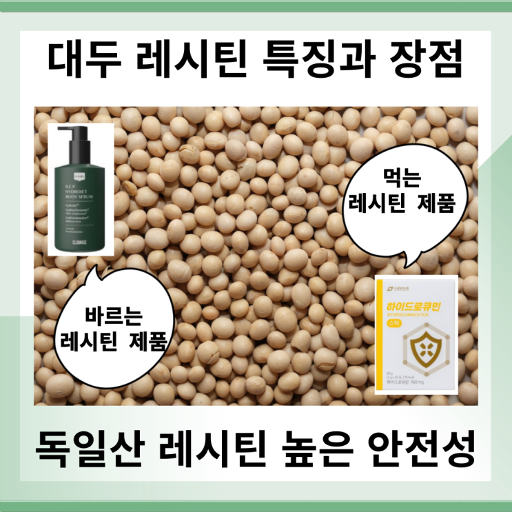  대두 레시틴 특징과 장점