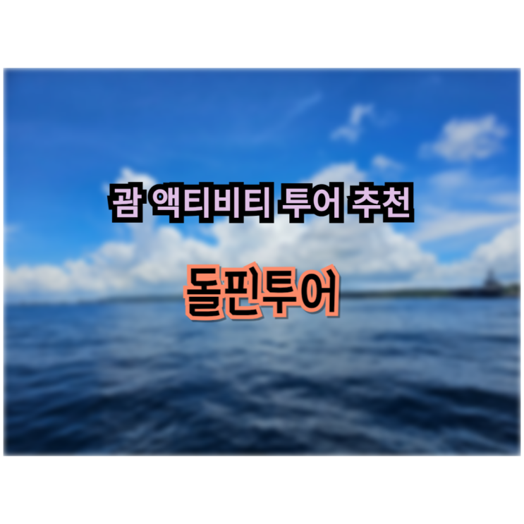  괌 여행 액티비티 돌핀크루즈 돌핀투어