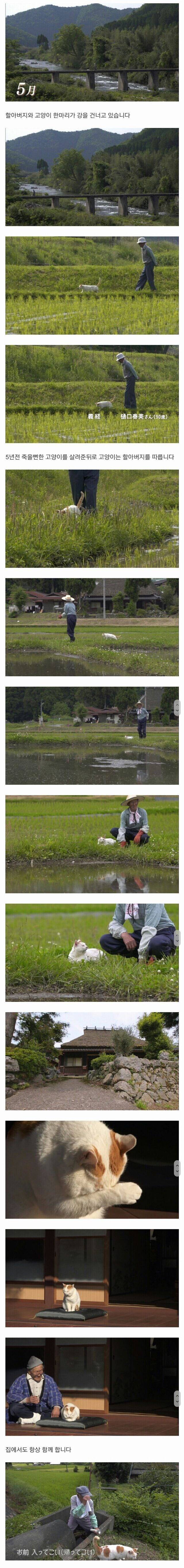  할아버지와 고양이 한마리가 강을 건너고 있습니다.