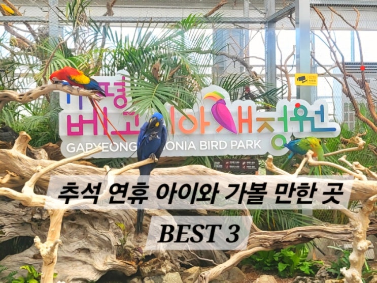  [가평] 아이와 가볼 만한 주말 여행 추석 연휴 가볼 만한 곳 BEST 3