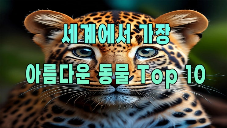  유튜브 썸네일 만들기