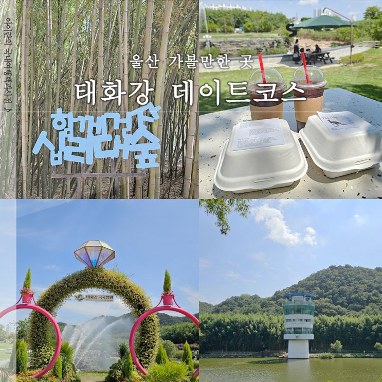  울산 십리대밭 태화강국가정원 외 데이트코스 2곳