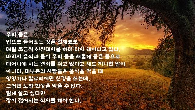 우리 우리