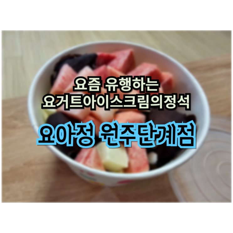  요거트아이스크림의정석 원주 요아정 단계점