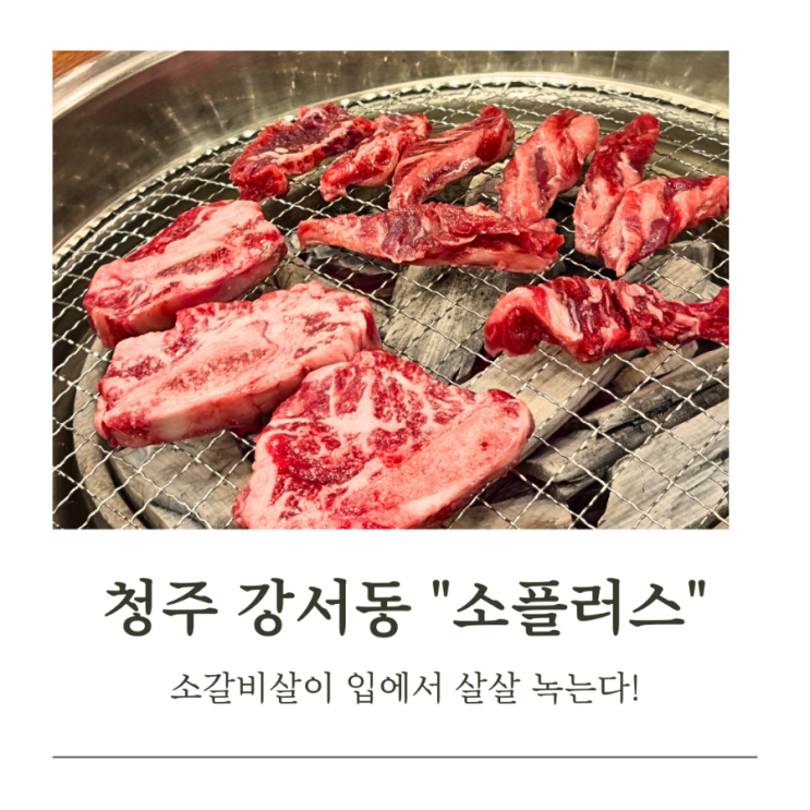  입에서 살살 녹는 청주 강서동 소갈비살 맛집 "소플러스"