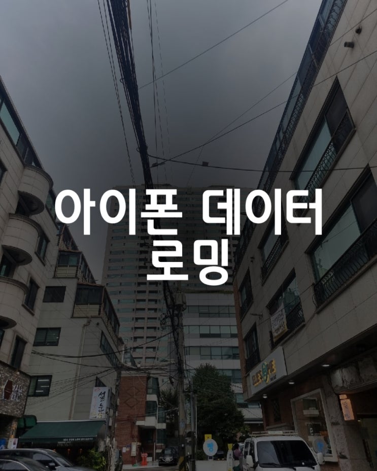  해외 출장 업무 아이폰 데이터 로밍 설정