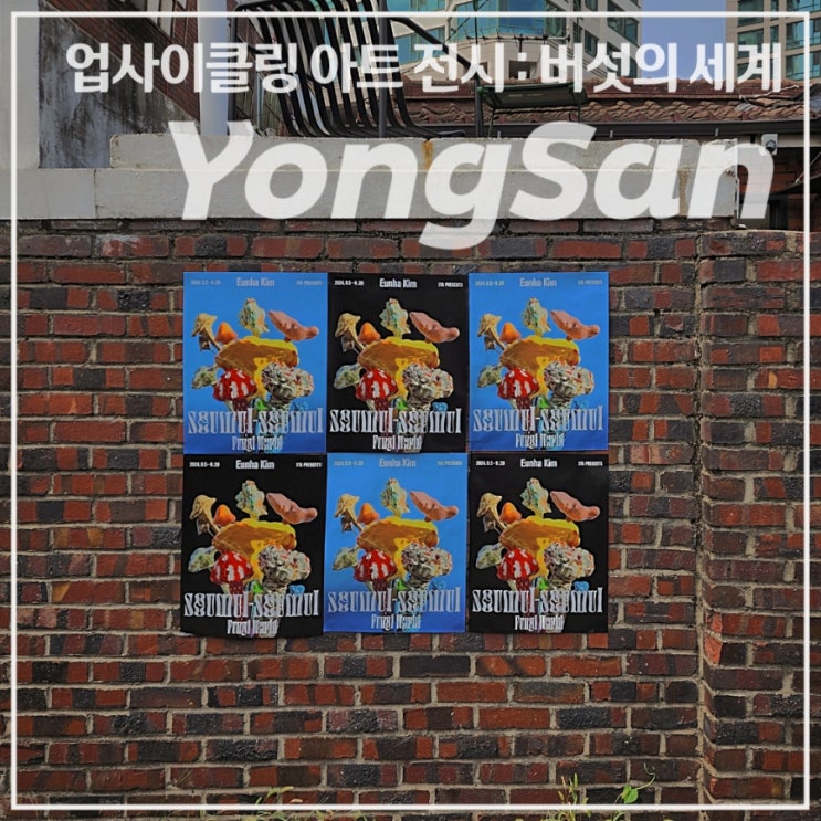  [용산/전시] 김은하 작가 업사이클링 전시 •스멀-스멀:버섯의세계• 24.09.05-09.20 / 신용산 디저트 카페, 카펫