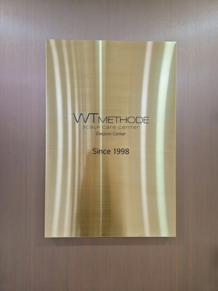  둔산동 대전 지루성두피 2회차 관리 솔직후기 'WT메소드 대전점'