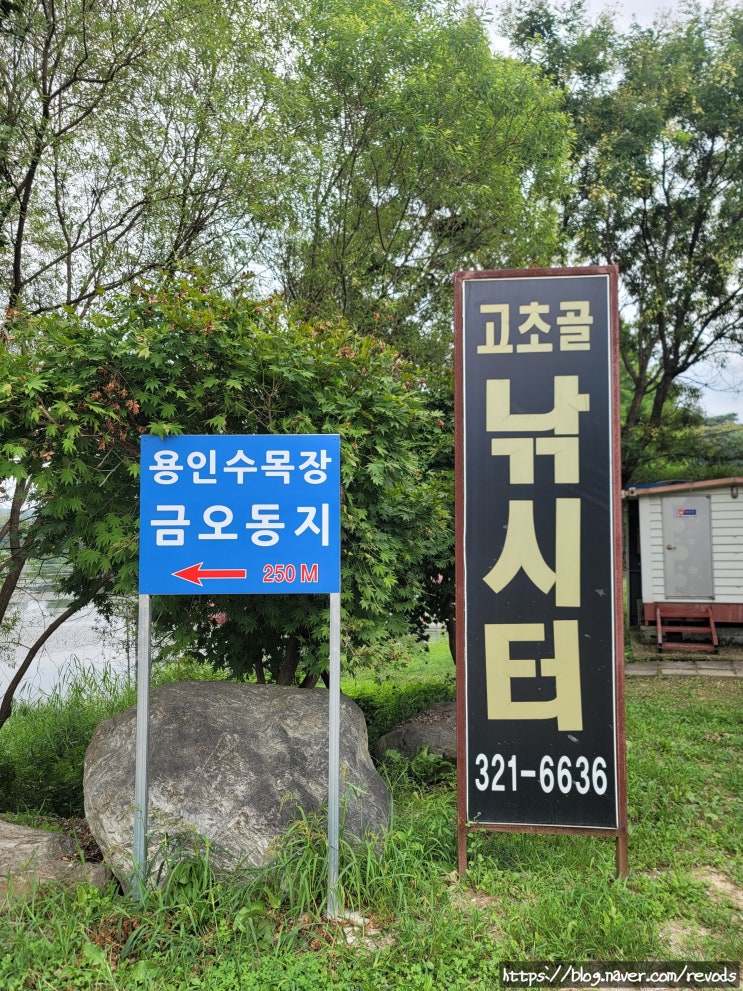  <고초골 낚시터> 경기 용인, 민물 붕어 전용 낚시터