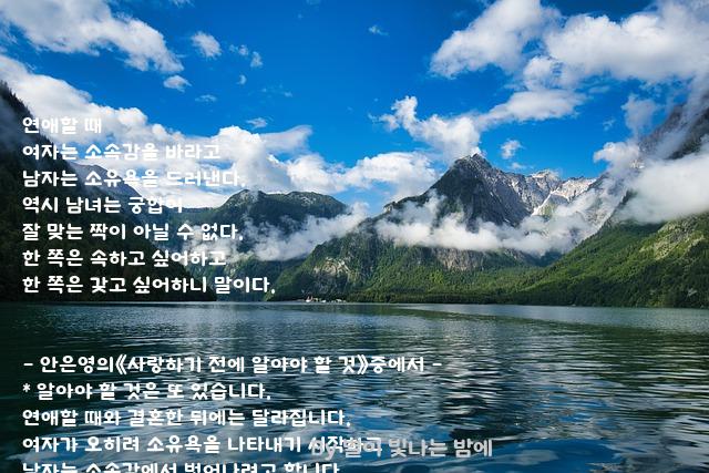 연애 연애