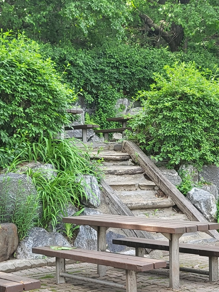  옥구공원 산책 후 산 정상 왕복 2시간으로 도심 속 가벼운 산행 즐겨보세요