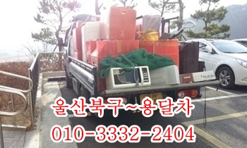 울산북구용달 양정 염포 진장 호계 모화 입실 외동 불국사 정자 양남. 울산북구용달 양정 염포 진장 호계 모화 입실 외동 불국사 정자 양남.