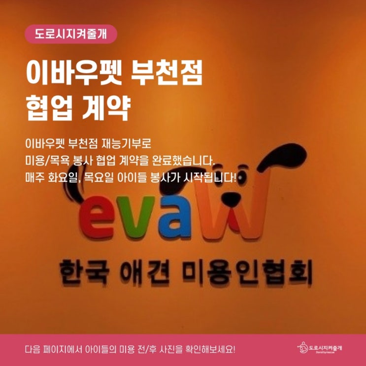  도로시지켜줄개 이바우펫 부천 미용/목욕 봉사 협업