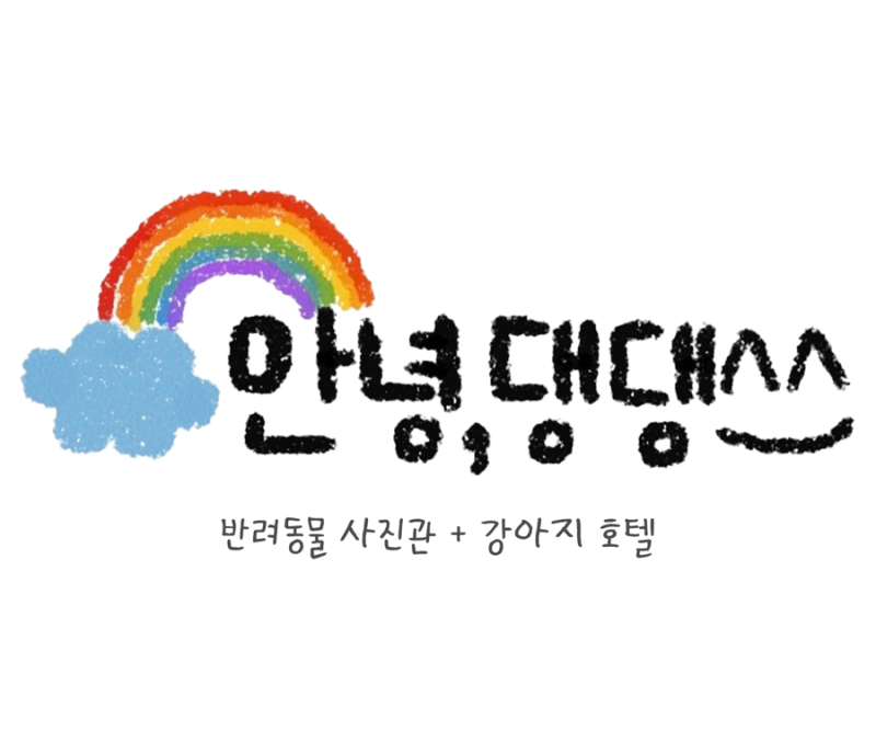 사진 3