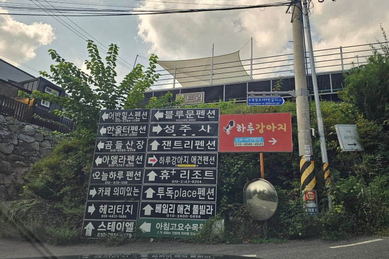 사진 3