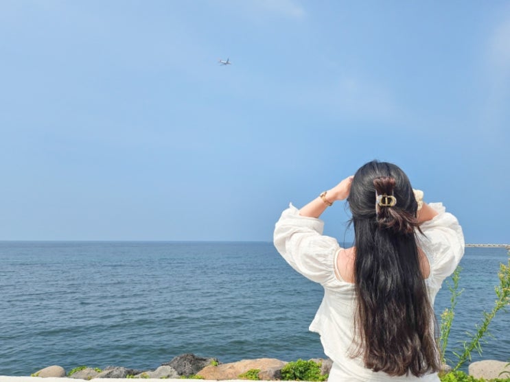  비행기다!