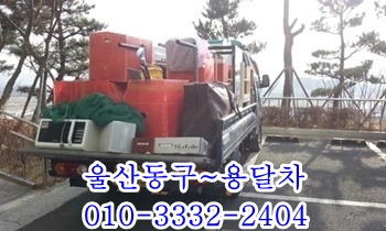 울산동구용달 방어진 주전 남목 정자 강동 양남 양북 감포 입실 모화. 울산동구용달 방어진 주전 남목 정자 강동 양남 양북 감포 입실 모화.