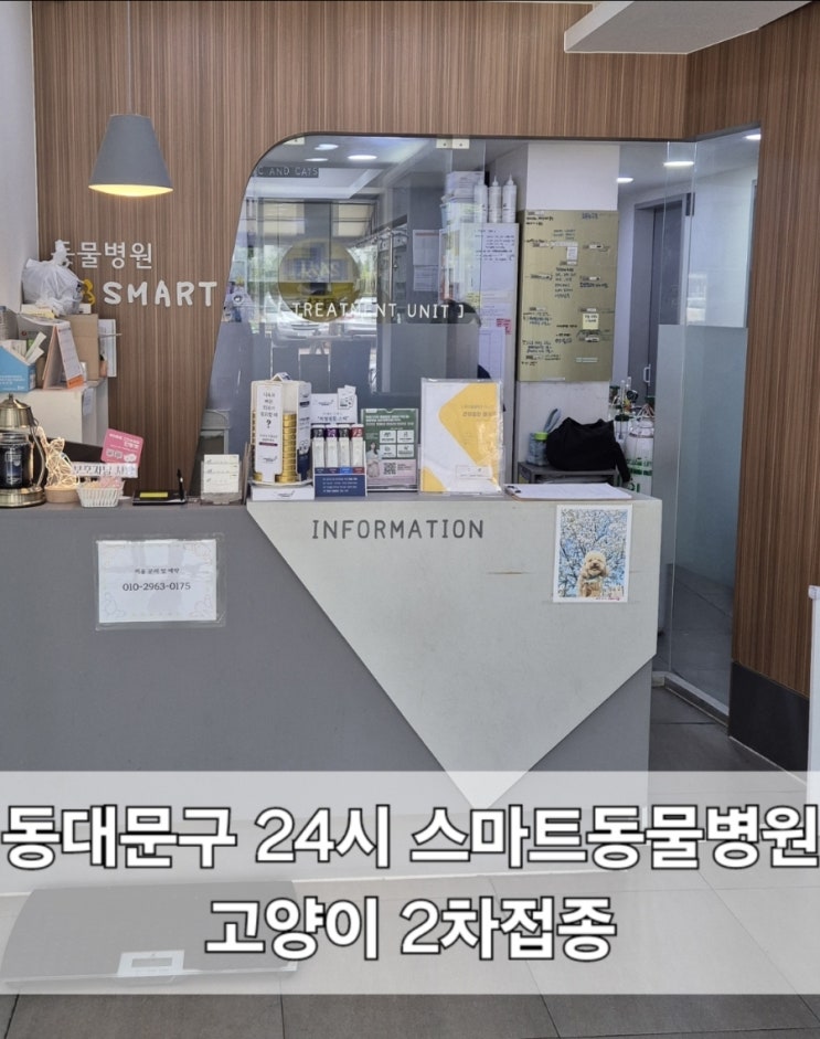  동대문구 스마트동물병원 고양이 2차접종 심장사상충 후기
