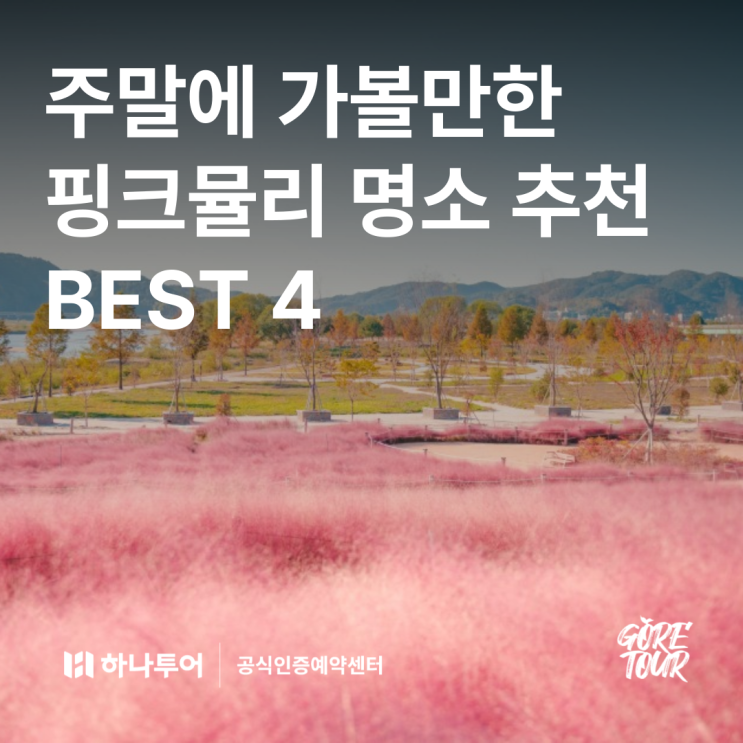  주말에 가볼만한 핑크뮬리 명소 추천 BEST 4