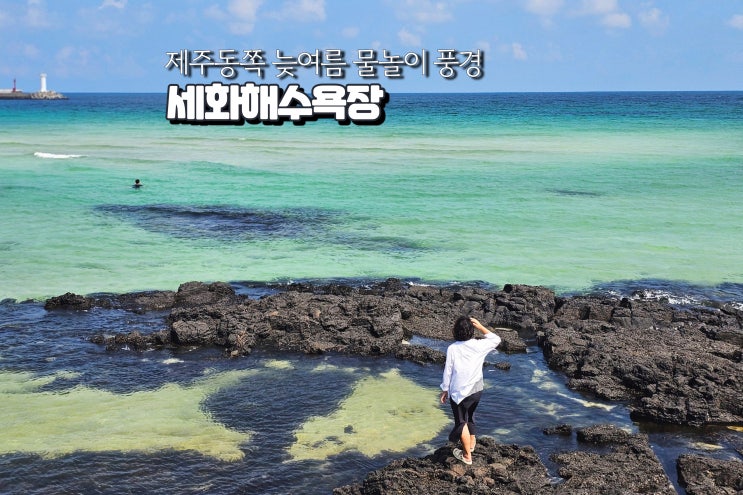 세화해수욕장 물놀이 수영 늦여름 한적한 국내 여행지 세화해변