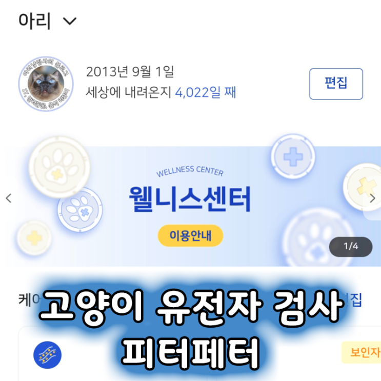  고양이 유전자 검사 피터페터 캣터링 검사 결과, 상담 후기