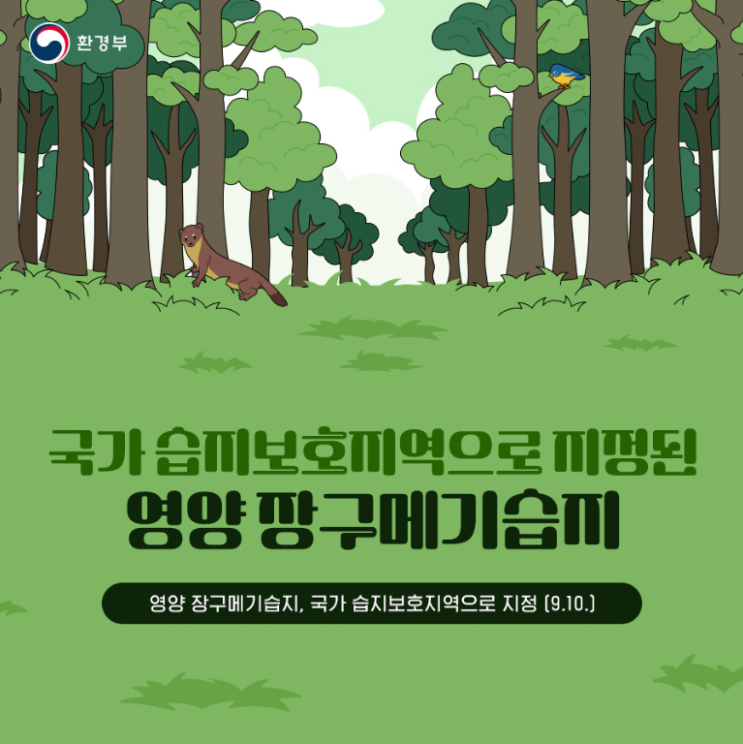  습지보호지역 현황(영양 장구메기습지 추가)