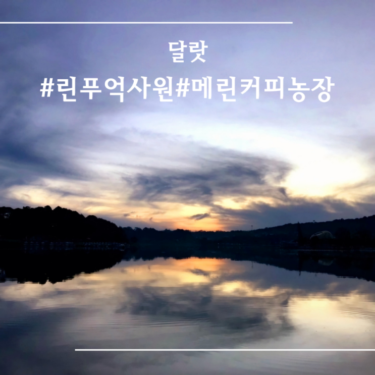  [ 달랏 ] 달랏 관광지 I 린푸억사원 I 바오다이 궁전 I 메린 커피 농장