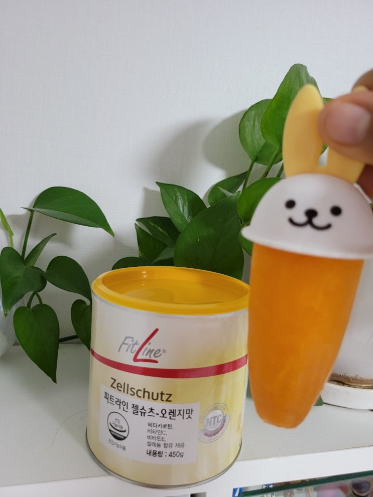  독일피엠쥬스 항산화 젤슈츠 세포 보호 비타민C E K 셀레늄