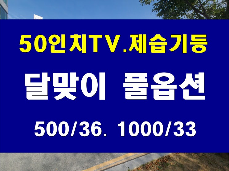  해운대 중동 달맞이 원룸 임대 풀옵션 대형 TV 제습기 침대 등 기본 제공