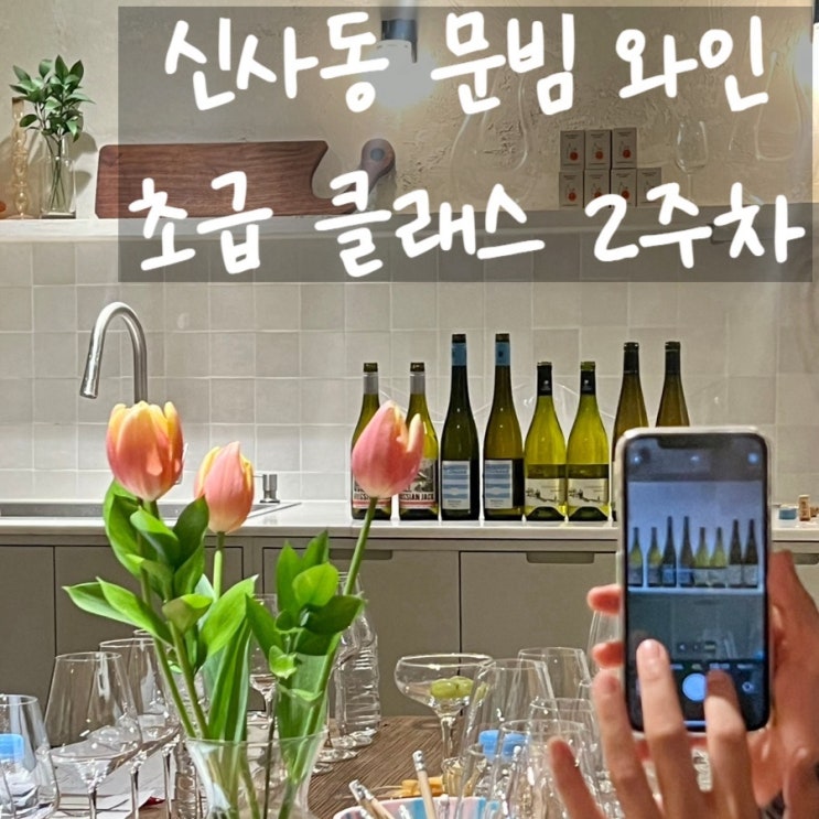  신사동 문빔 와인 스튜디오 초급 와인 클래스 2주차 화이트와인