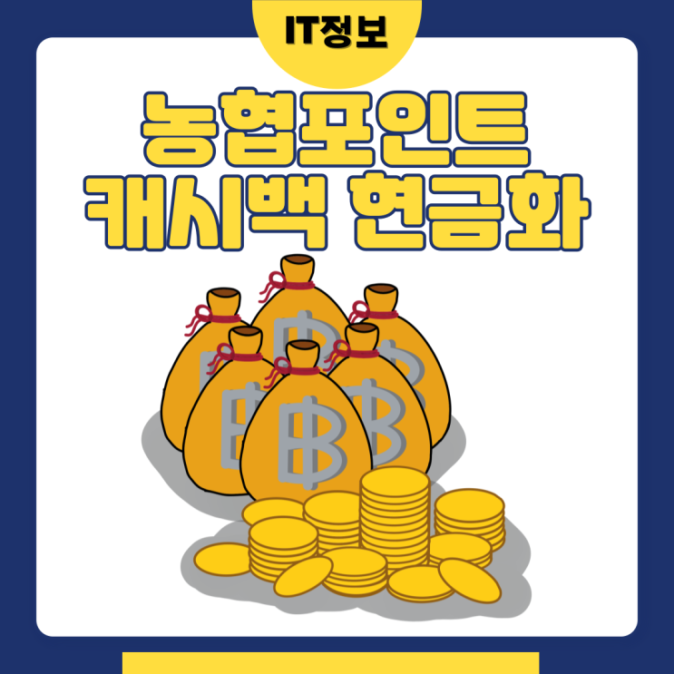  농협포인트 캐쉬백 현금화로 쏠쏠하게