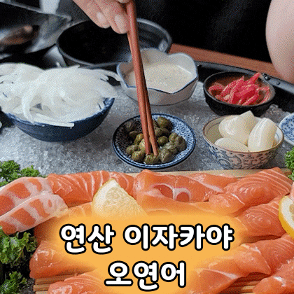  연산동연어 맛집 오연어 즐긴 밀푀유나베 세트, 모임 장소 추천