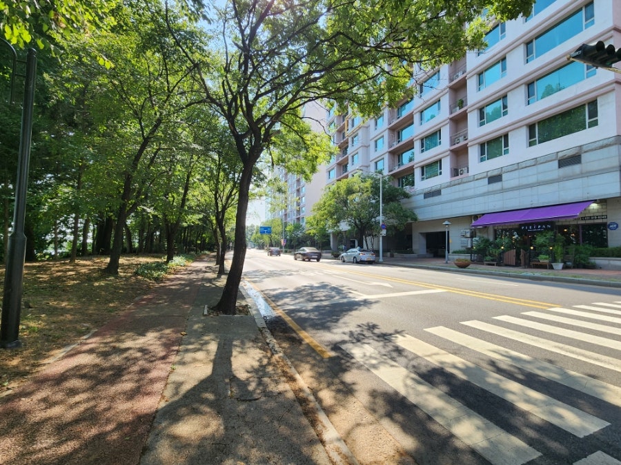 파이팬 사진 6