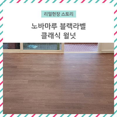  [리얼 현장 스토리] 노바 마루 블랙 라벨 클래식 월넛