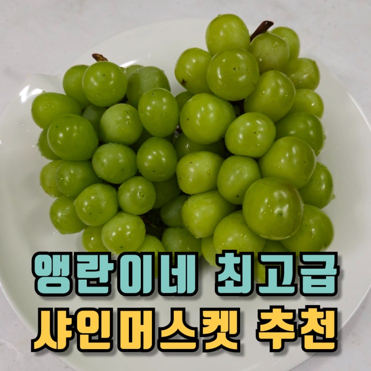  앵란이네 최고급 샤인머스켓 추천