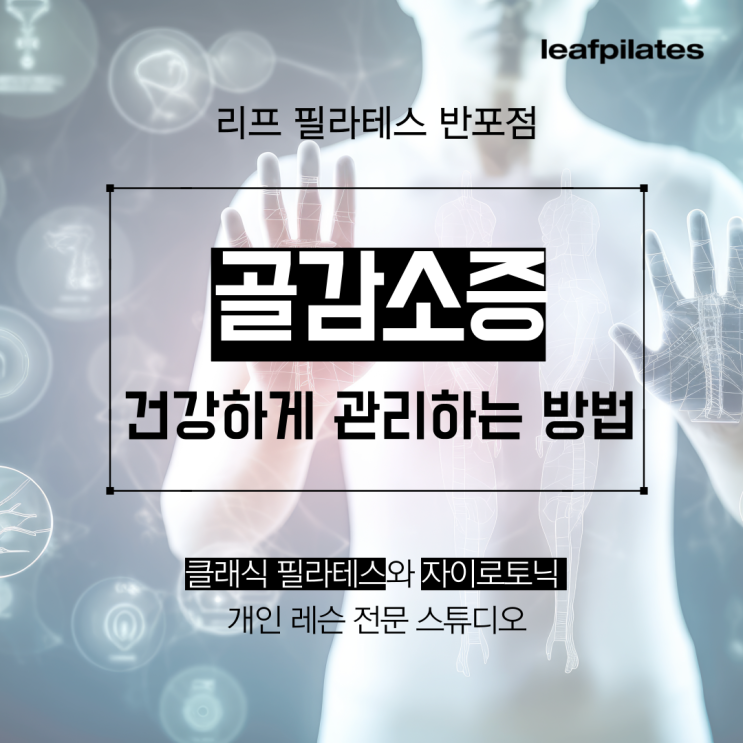  [신반포역 필라테스] 젊은 층에서도 흔한 골감소증/ 반포필라테스 리프