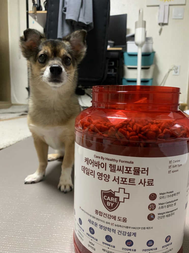  케어바이헬씨포뮬러 | 강아지 저알러지 사료 추천템