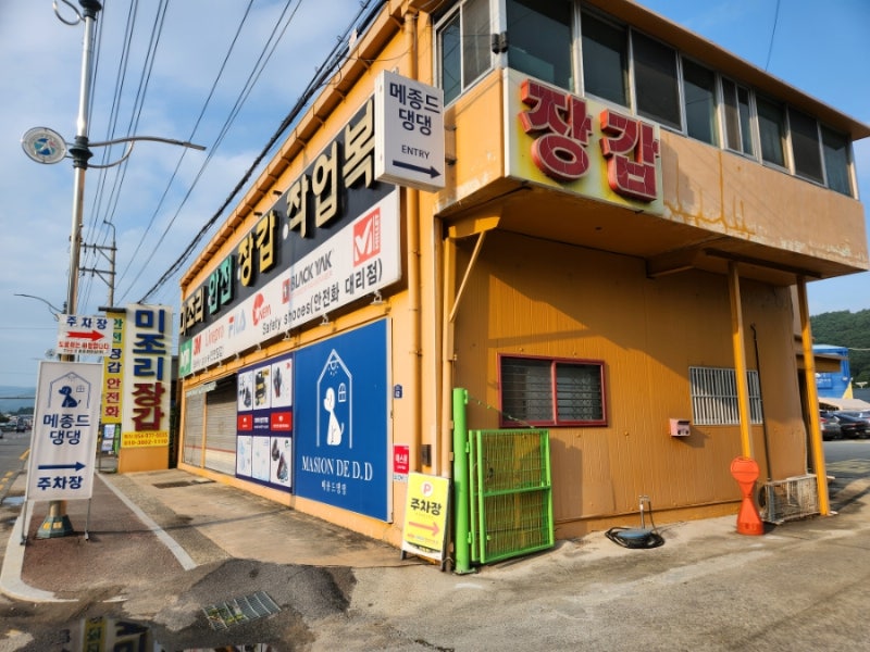 사진 5