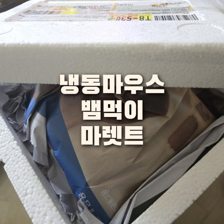 볼파이톤 파충류 뱀먹이 냉동쥐 구매 마렛트 후기