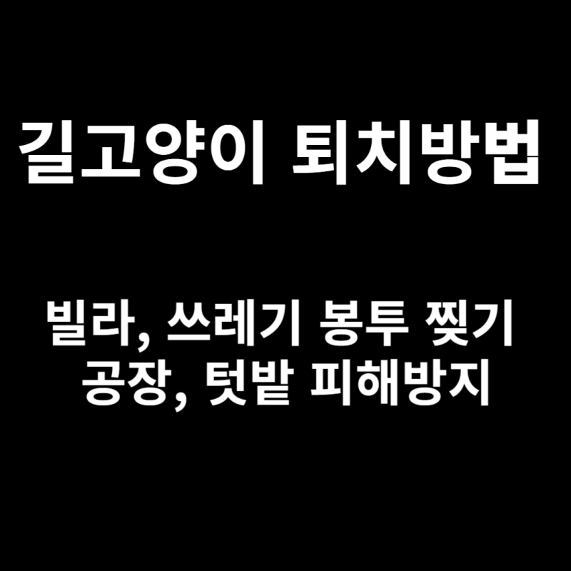 길고양이 퇴치방법 feat.고양이가 싫어하는냄새