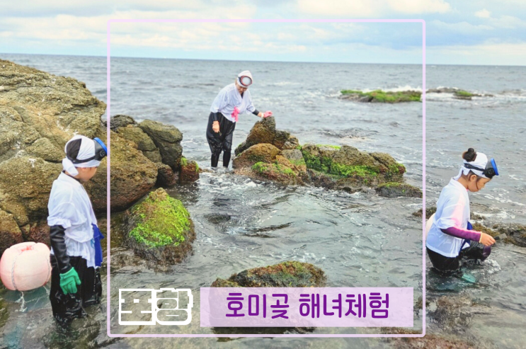  포항 해녀체험 포항 아이와 바다 호미곶 체험