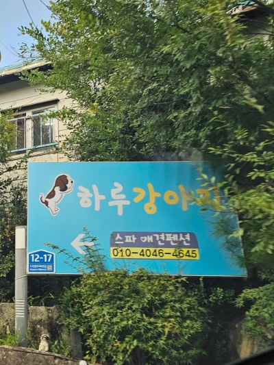 사진 5