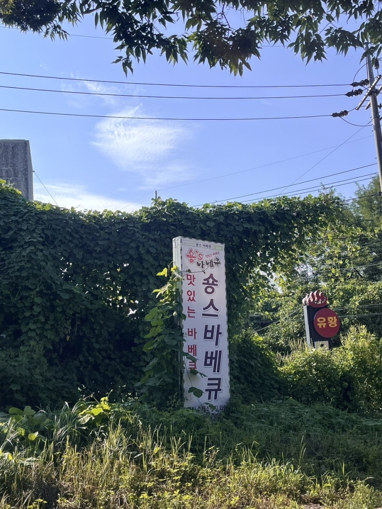  [경기/양평] 전국배달 가능한 참나무장작에 구운 등갈비집 추천  ‘쏭바베큐양평본점’