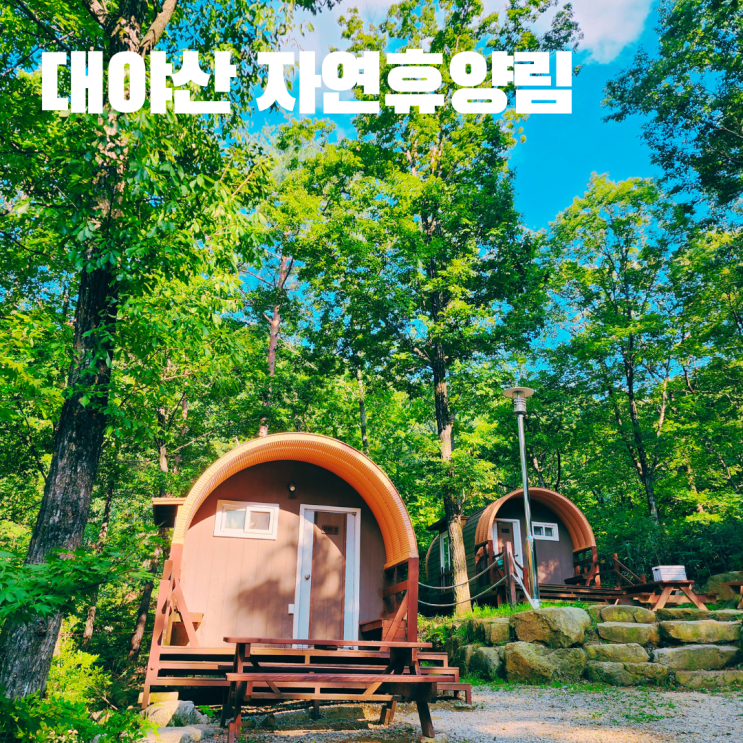 국립 대야산 자연휴양림 예약 편의시설 캐빈 5 숙박 이용 후기 경북 문경 여행 가볼만한 곳
